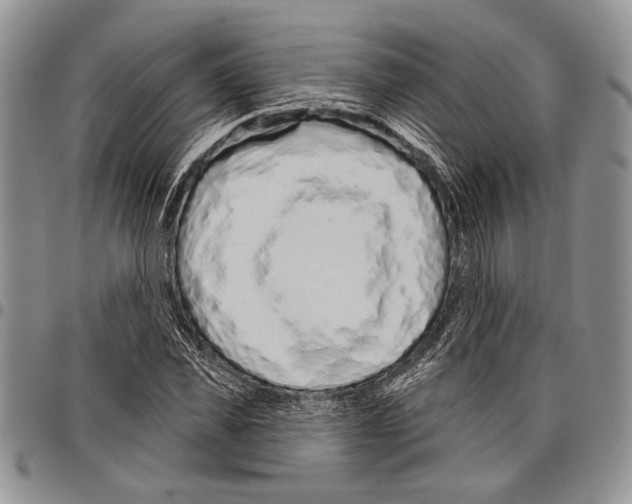 X0000097950925200804140959