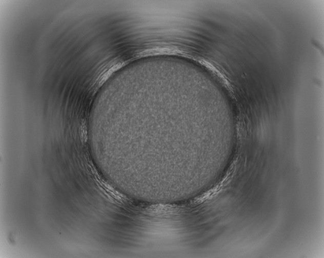 X0000097950929200804140959