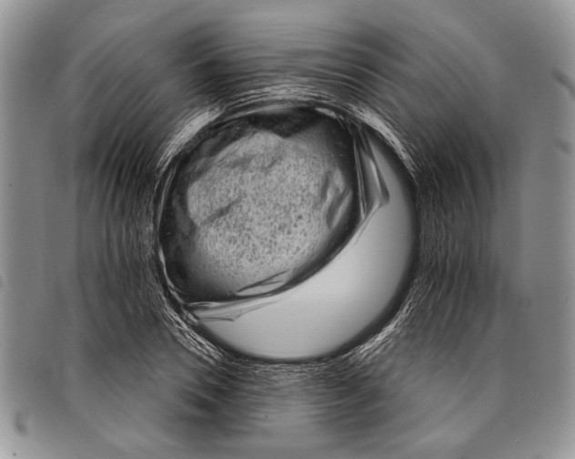 X0000097950930200804140959