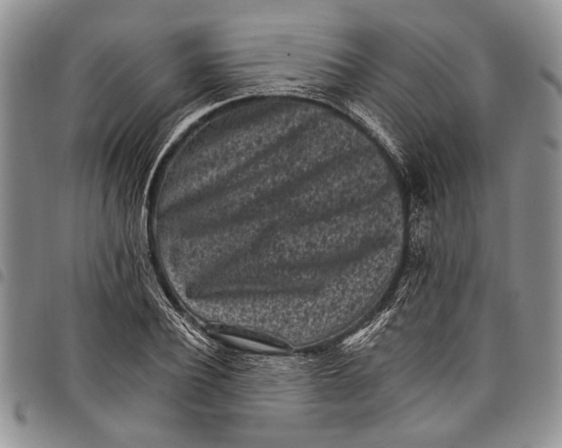 X0000097950932200804140959