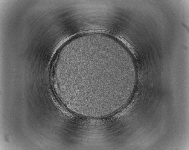 X0000097950933200804140959
