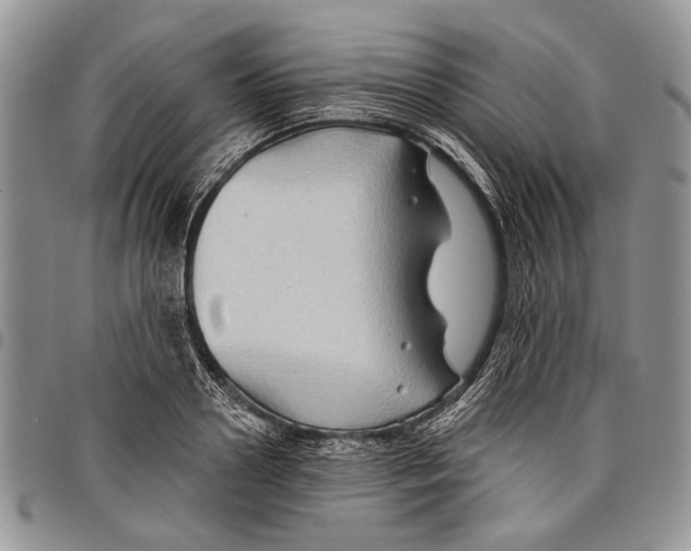 X0000097950938200804140959