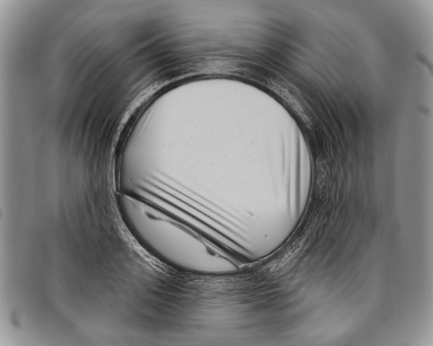 X0000097950939200804140959