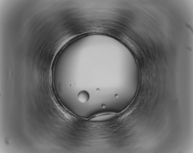 X0000097950940200804140959