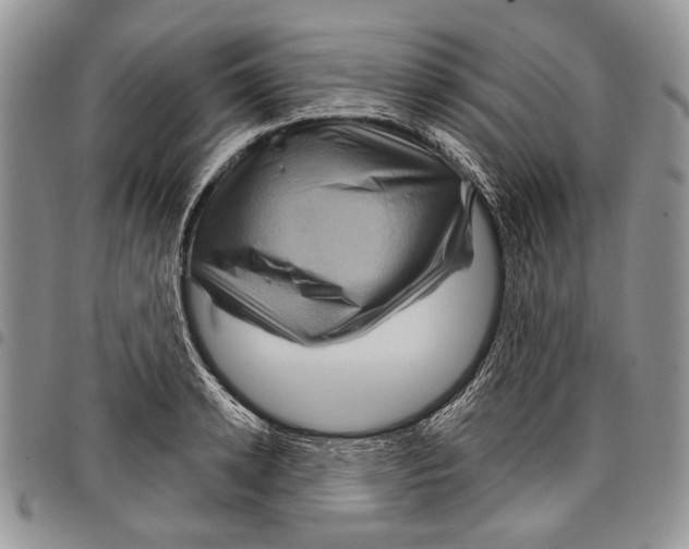 X0000097950942200804140959