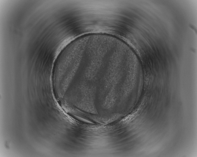 X0000097950943200804140959