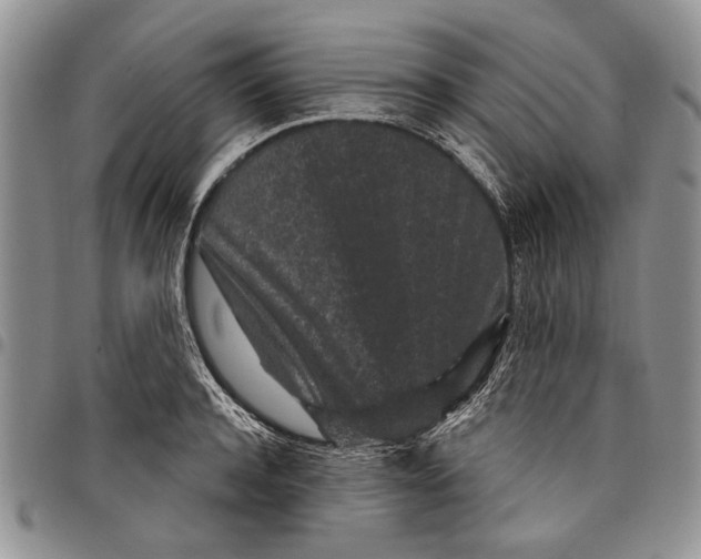 X0000097950944200804140959