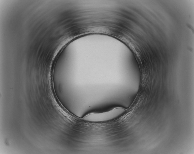 X0000097950947200804140959