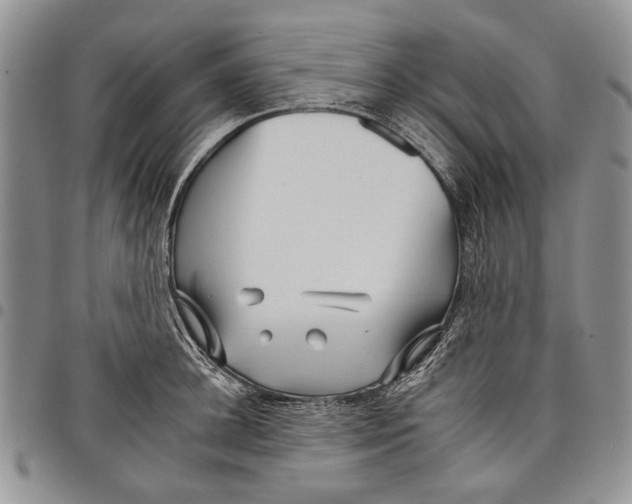 X0000097950948200804140959