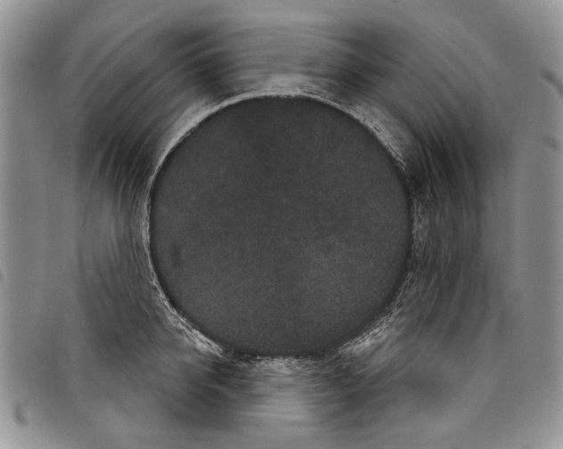 X0000097950950200804140959