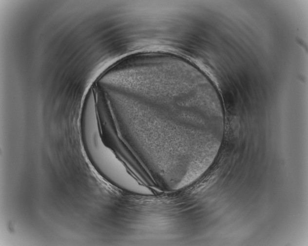 X0000097950951200804140959