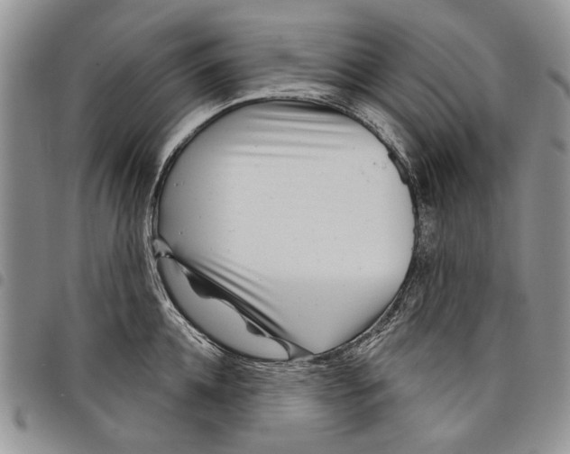 X0000097950952200804140959