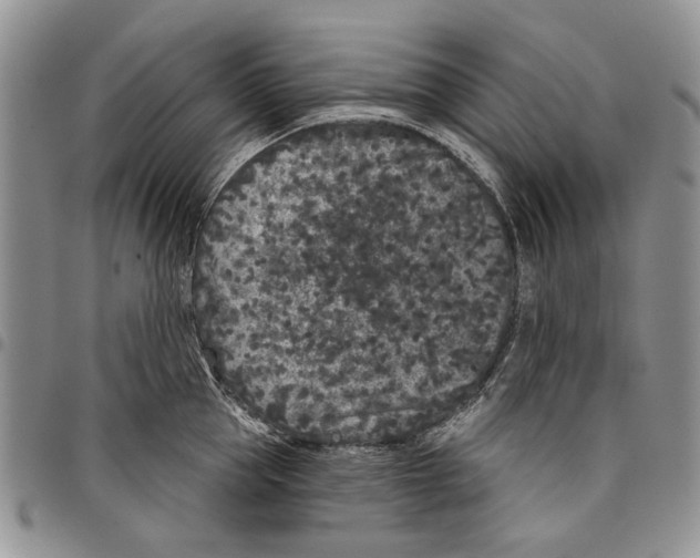 X0000097950953200804140959