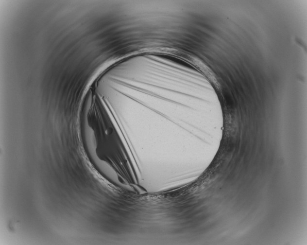 X0000097950955200804141000