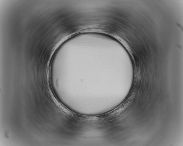 X0000097950957200804141000