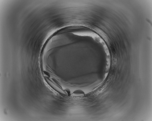 X0000097950958200804141000