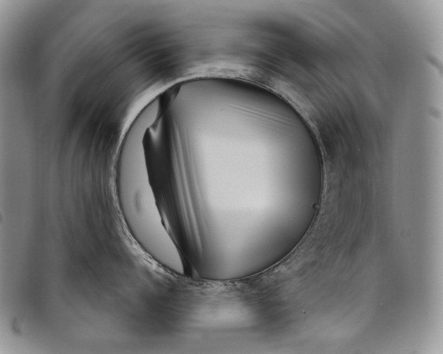 X0000097950960200804141000