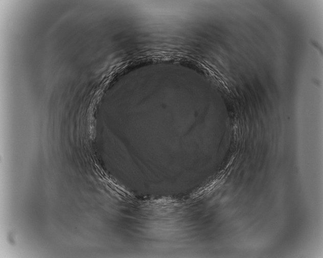 X0000097950961200804140959