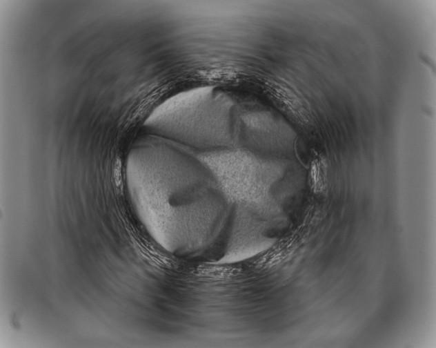 X0000097950963200804140959