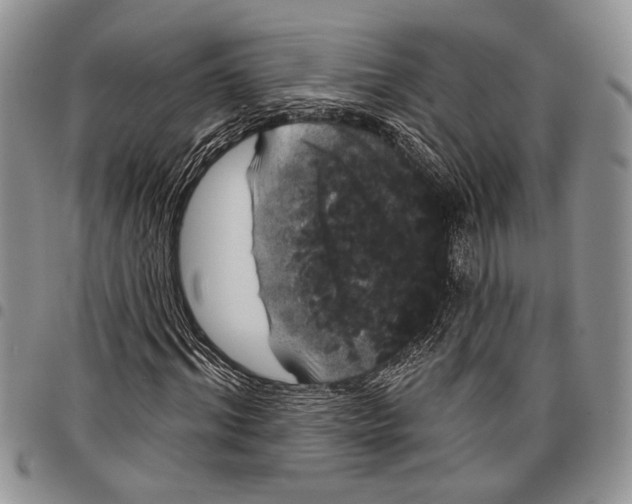 X0000097950964200804140959