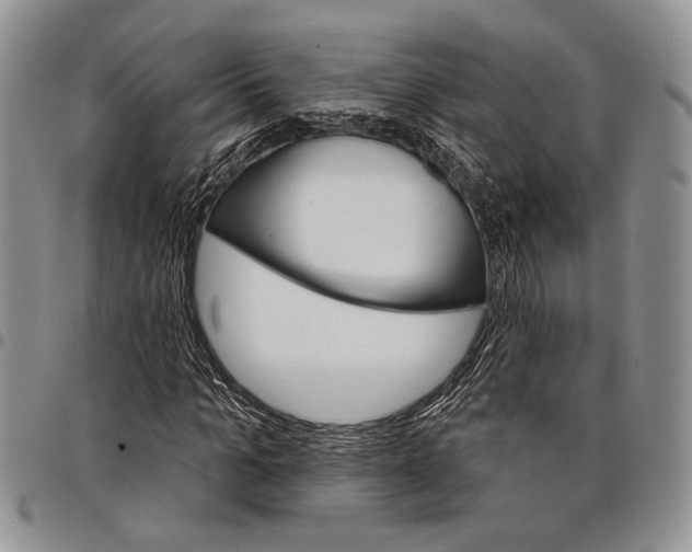 X0000097950965200804140959