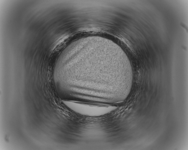 X0000097950967200804140959