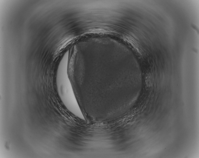 X0000097950968200804140959