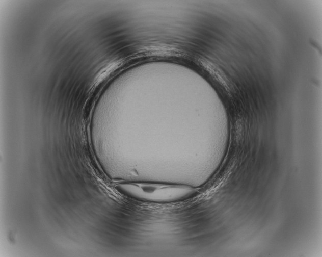X0000097950970200804140959