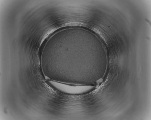 X0000097950973200804140959
