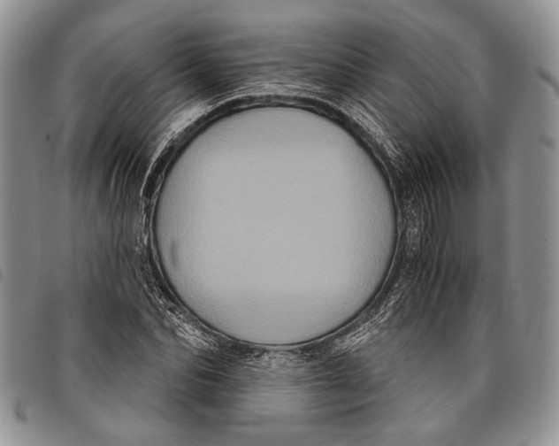 X0000097950974200804140959