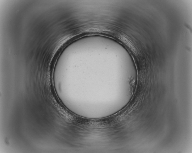X0000097950976200804140959