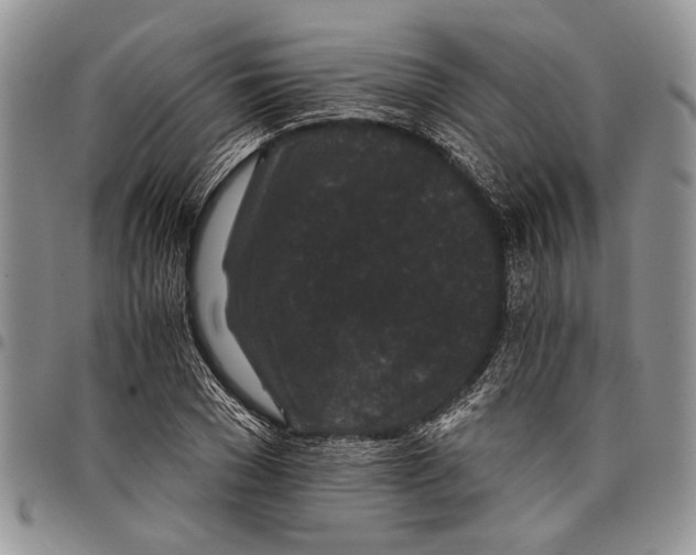 X0000097950977200804140959