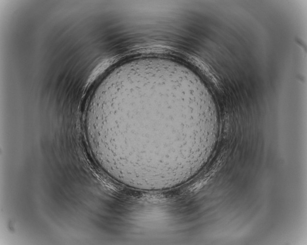 X0000097950978200804140959