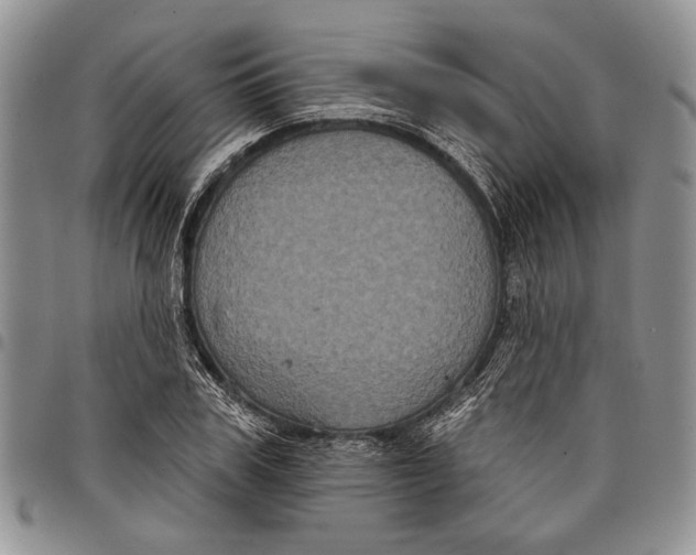 X0000097950979200804140959