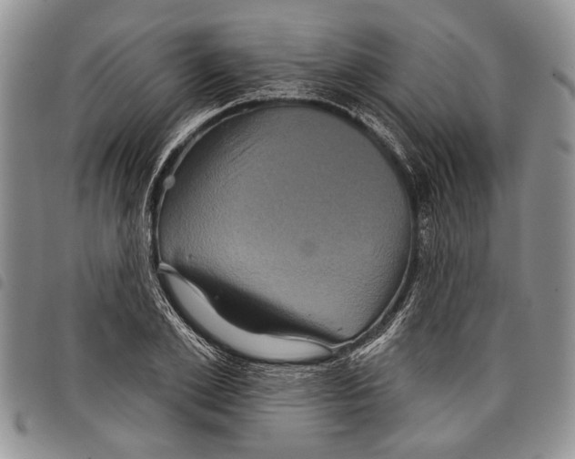 X0000097950981200804140958