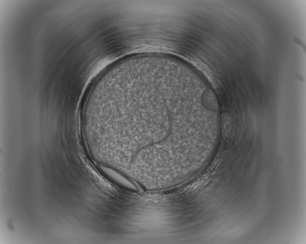 X0000097950982200804140958