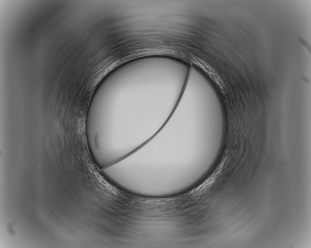 X0000097950985200804140958