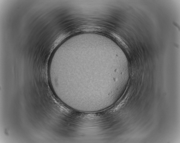 X0000097950986200804140958