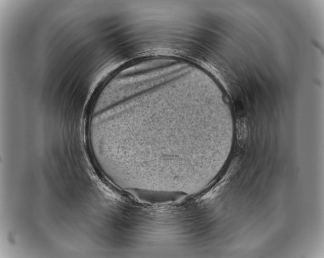 X0000097950987200804140958