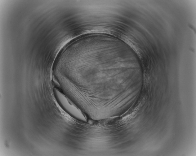 X0000097950988200804140958