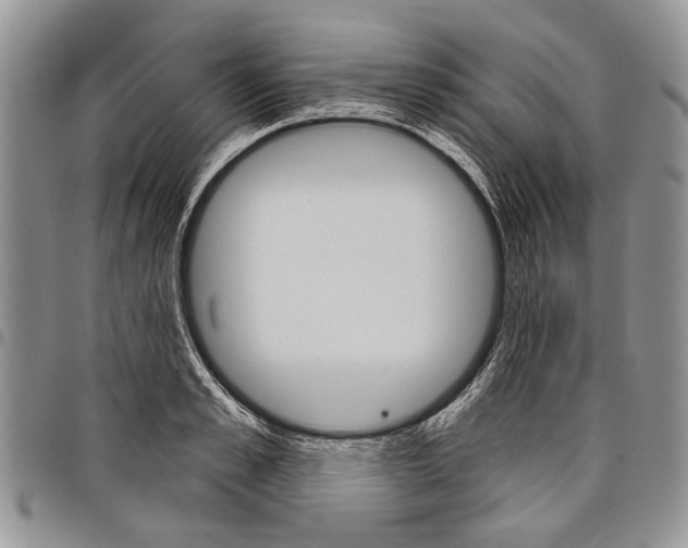 X0000097950989200804140958
