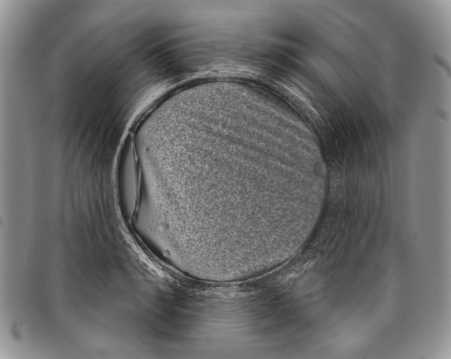 X0000097950990200804140958