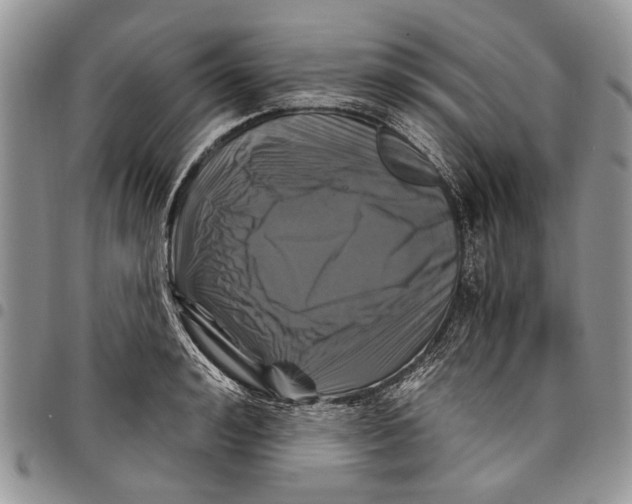 X0000097950992200804140958