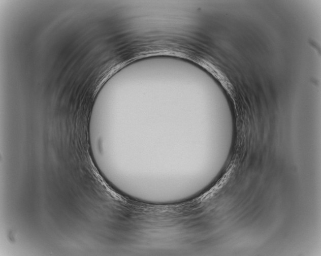 X0000097950993200804140958