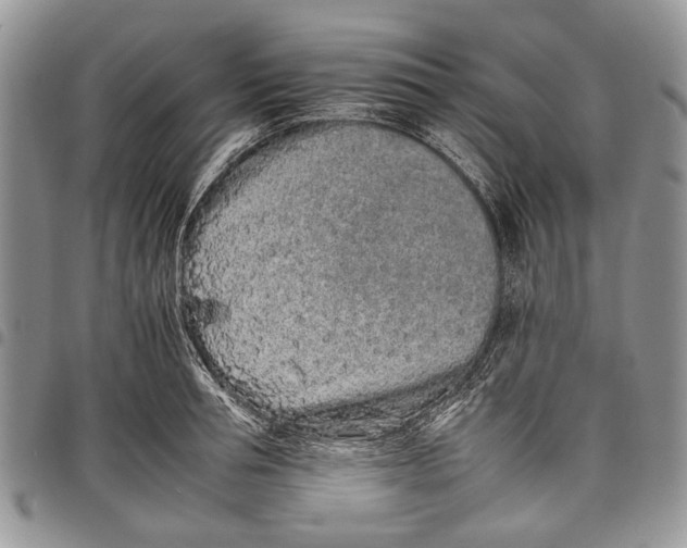X0000097950994200804140958