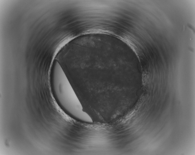 X0000097950995200804140958