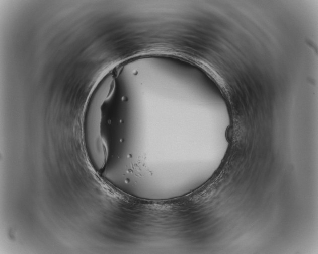 X0000097950996200804140958