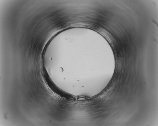 X0000097951000200804140958
