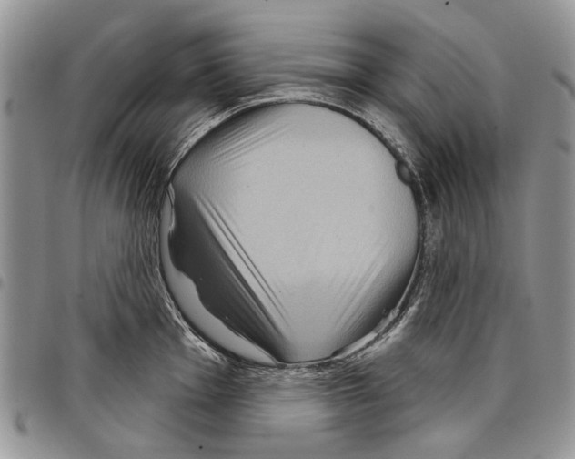 X0000097951001200804140958