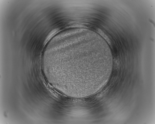 X0000097951002200804140958